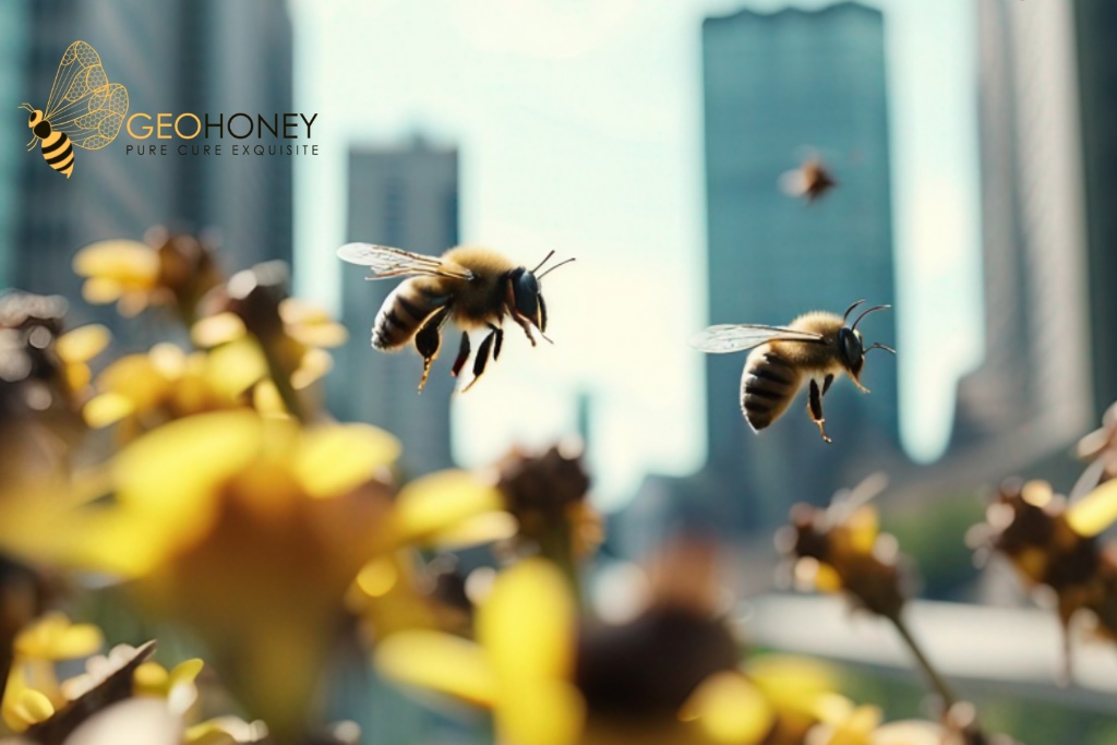 How's Life in Your City? Consult the bees  